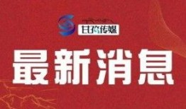 早安爆料头条新闻最新消息,最新头条新闻，揭秘事件背后真相！
