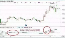 杭州日料爆料事件最新,揭露餐厅卫生黑幕，食品安全引关注